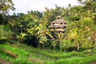 Аренда виллы в Ubud, Бали, #849