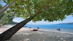 Аренда виллы в Koh Samui Thailand, Бали, #103