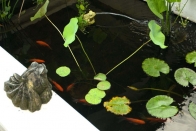 Аренда виллы в Candidasa, Бали, #121