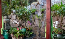 Аренда виллы в Ubud, Бали, #850