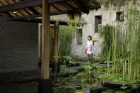 Аренда виллы в Tabanan, Бали, #1011