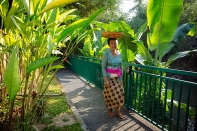 Аренда виллы в Tabanan, Бали, #1750